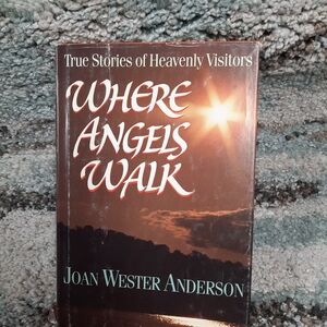 Where Angels Walk Book